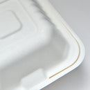 Bagasse-Food Container FHB 6 weiß